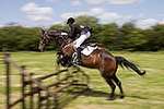 Wanborough Horse and Dog show